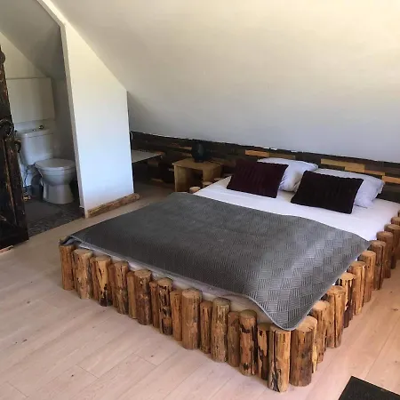 Apartment Rochowa Buznica