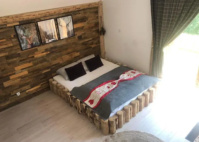 Apartment Rochowa Buznica *