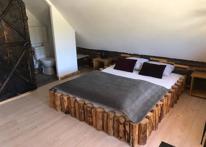 Apartment Rochowa Buznica